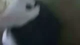 03:10