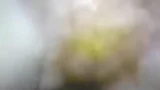 00:15