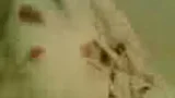 00:41